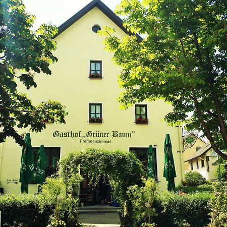 Hotel-Landgasthof Gruener Baum - Dittigheim Tauberbischofsheim Esterno foto