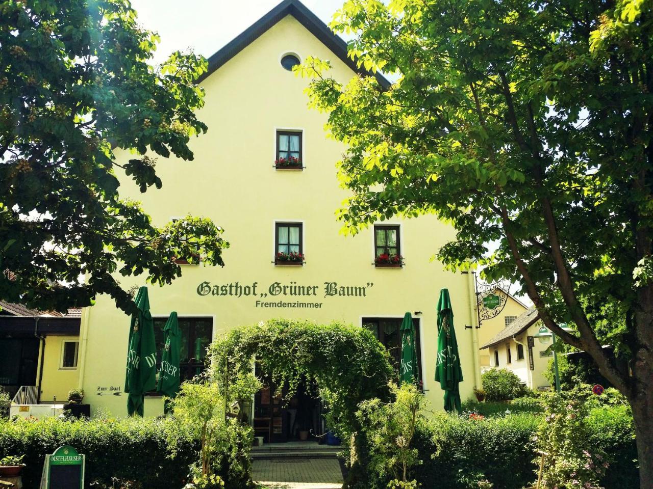 Hotel-Landgasthof Gruener Baum - Dittigheim Tauberbischofsheim Esterno foto